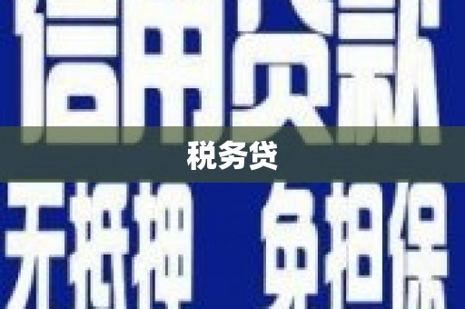 徽州税务贷