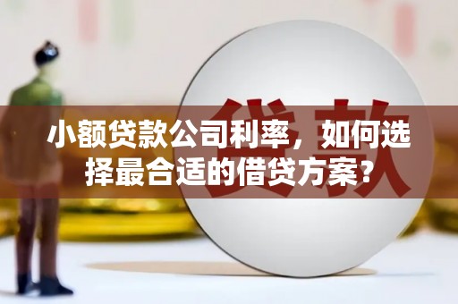 徽州小额贷款公司利率，如何选择最合适的借贷方案？