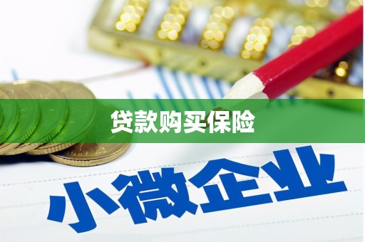 徽州贷款购买保险