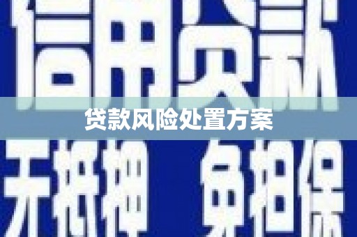 徽州贷款风险处置方案