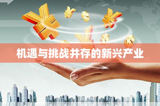 徽州机遇与挑战并存的新兴产业