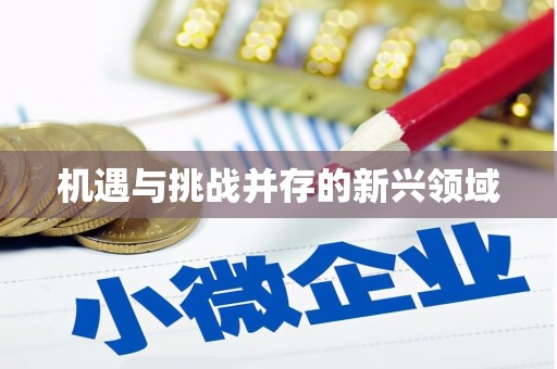 徽州机遇与挑战并存的新兴领域