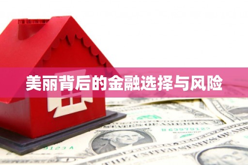徽州美丽背后的金融选择与风险