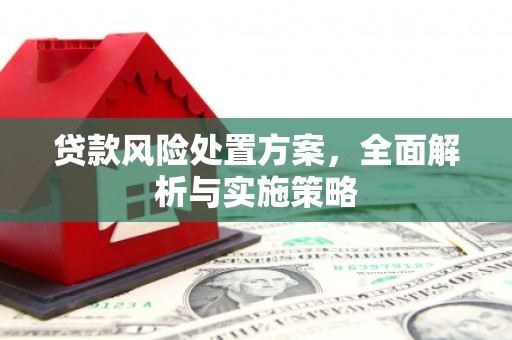 徽州贷款风险处置方案，全面解析与实施策略