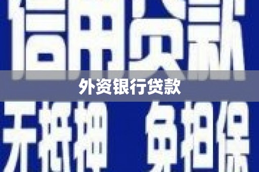 徽州外资银行贷款