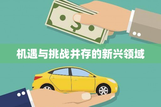 徽州机遇与挑战并存的新兴领域