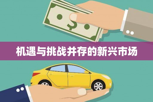 徽州机遇与挑战并存的新兴市场