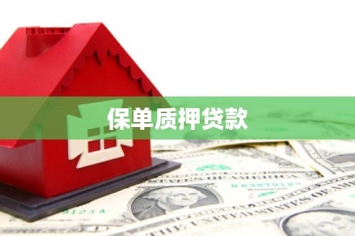徽州保单质押贷款