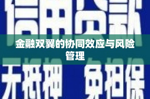 徽州金融双翼的协同效应与风险管理