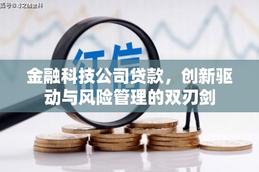 徽州金融科技公司贷款，创新驱动与风险管理的双刃剑